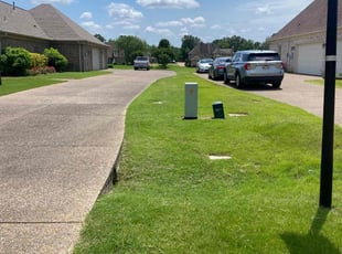 Suzanne N.'s grass cutting service result