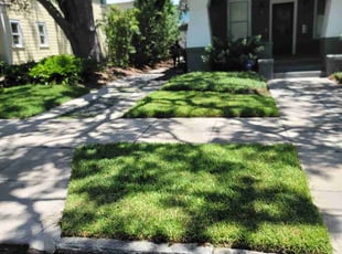 Charnelle L.'s lawn maintenance service result