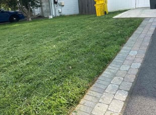 Anju T.'s lawn service service result