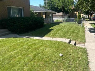 Penny S.'s lawn service service result
