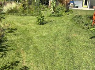 Lola R.'s grass maintenance service result