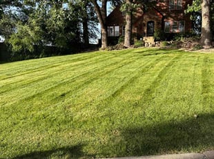 Dorothy K.'s turf care service result