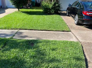 Victoria W.'s grass cutting service result
