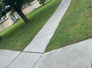 Amber S.'s lawn service service result
