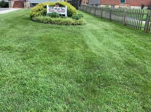Terrance J.'s turf maintenance service result