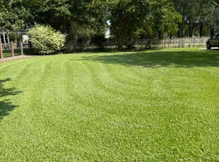 Edna B.'s lawn care services service result