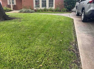 Brenda B.'s turf care service result