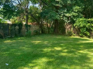 Kecia N.'s lawn care services service result
