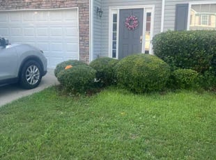 Brigido L.'s Bush Trimming service result