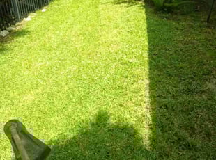 Kathy C.'s lawn care service result