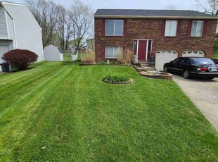 Trent F.'s grass cutting service result