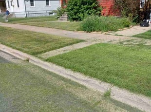 Laya Z.'s lawn service service result