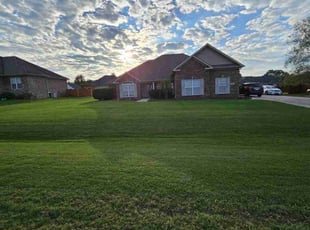 Mohammad A.'s grass cutting service result