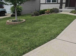 Angel S.'s turf care service result