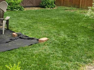 Sandy C.'s lawn care service result