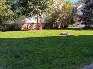 Keiston w.'s grass maintenance service result
