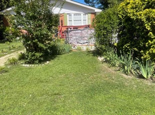 Erica W.'s grass cutting service result