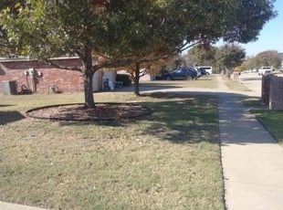 Marie Y.'s grass cutting service result