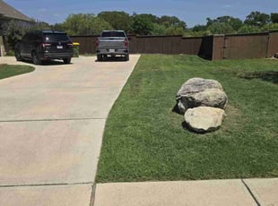 Ellie H.'s yard service service result