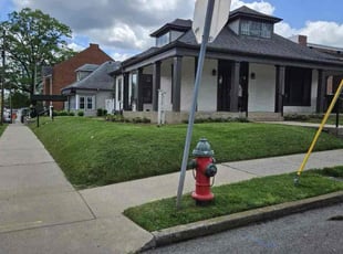 Dalton W.'s lawn care service result