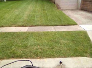 Robert S.'s lawn service service result