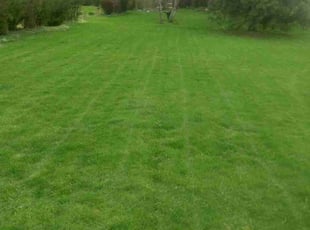 Murr E.'s yard maintenance service result