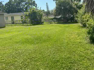 Melanie E.'s turf care service result