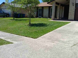 Pat J.'s turf maintenance service result