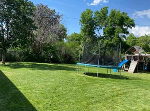 Connor G.'s Long Grass Cleanup service result
