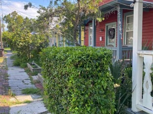 Diane V.'s Bush Trimming service result