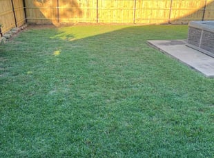 Melissa L.'s lawn care services service result
