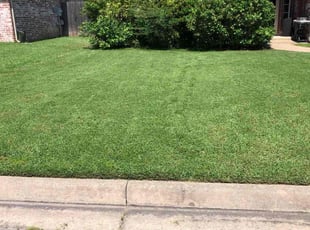 Catherine M.'s grass maintenance service result