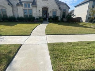 Dana W.'s lawn service service result
