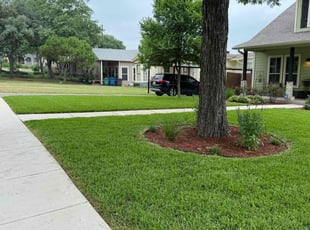 Patricia H.'s turf maintenance service result
