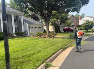 Lauren V.'s lawn service service result