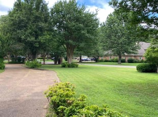 Laura M.'s lawn care service result