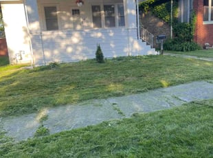 William R.'s Leaf Removal service result