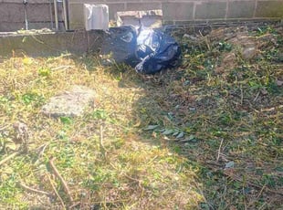 Gagan S.'s grass maintenance service result