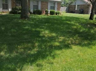 Sarah G.'s grass cutting service result