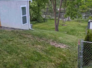 Michael D.'s grass cutting service result