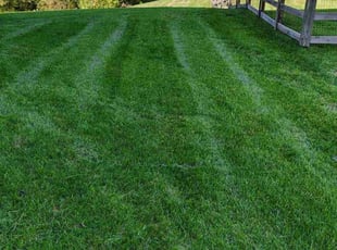 Virgilio C.'s Bush Trimming service result