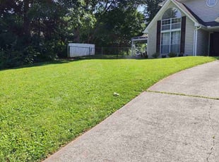 Jaime D.'s lawn care service result