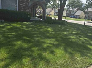 Paula F.'s grass cutting service result