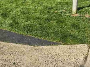Wilhelmina W.'s lawn maintenance service result