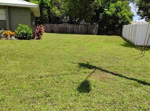 Abigayle S.'s turf maintenance service result