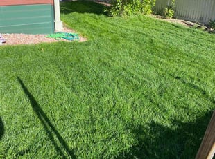 Anthony B.'s lawn service service result