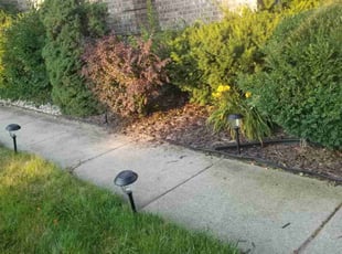 Ella K.'s Flower Bed Weeding service result