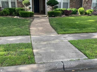 Sarah B.'s grass maintenance service result