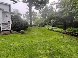 Paul D.'s lawn care service result