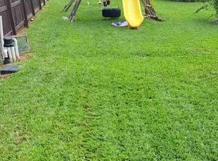 Yeny B.'s turf care service result